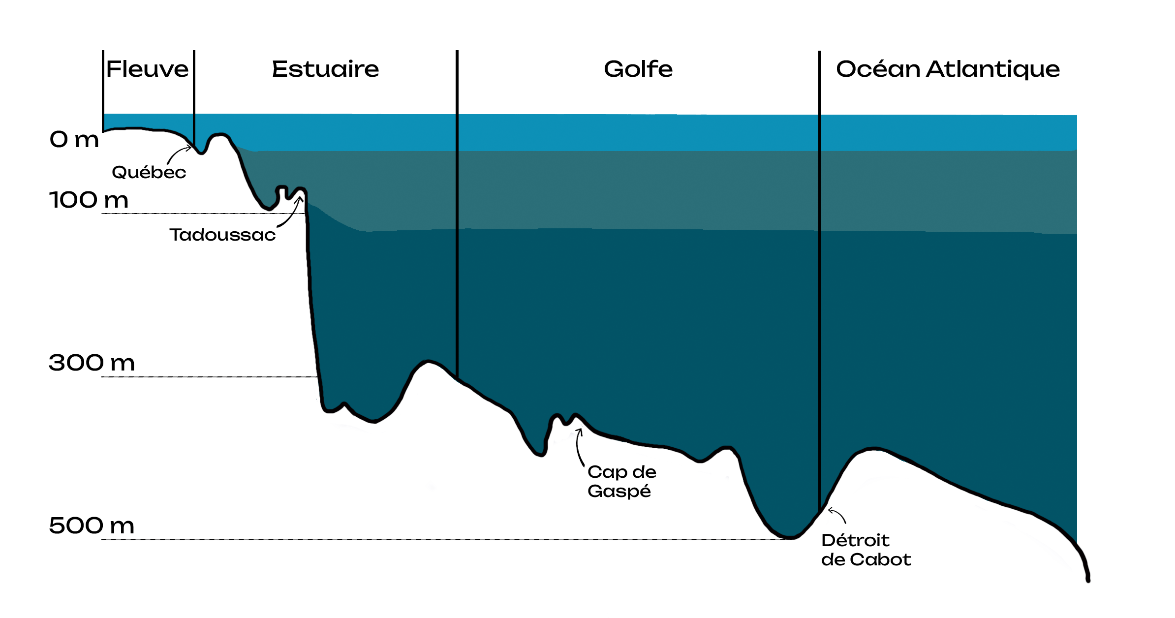 Illustration couleur de la profondeur du Saint-Laurent, vue en coupe, entre Québec et le détroit de Cabot.