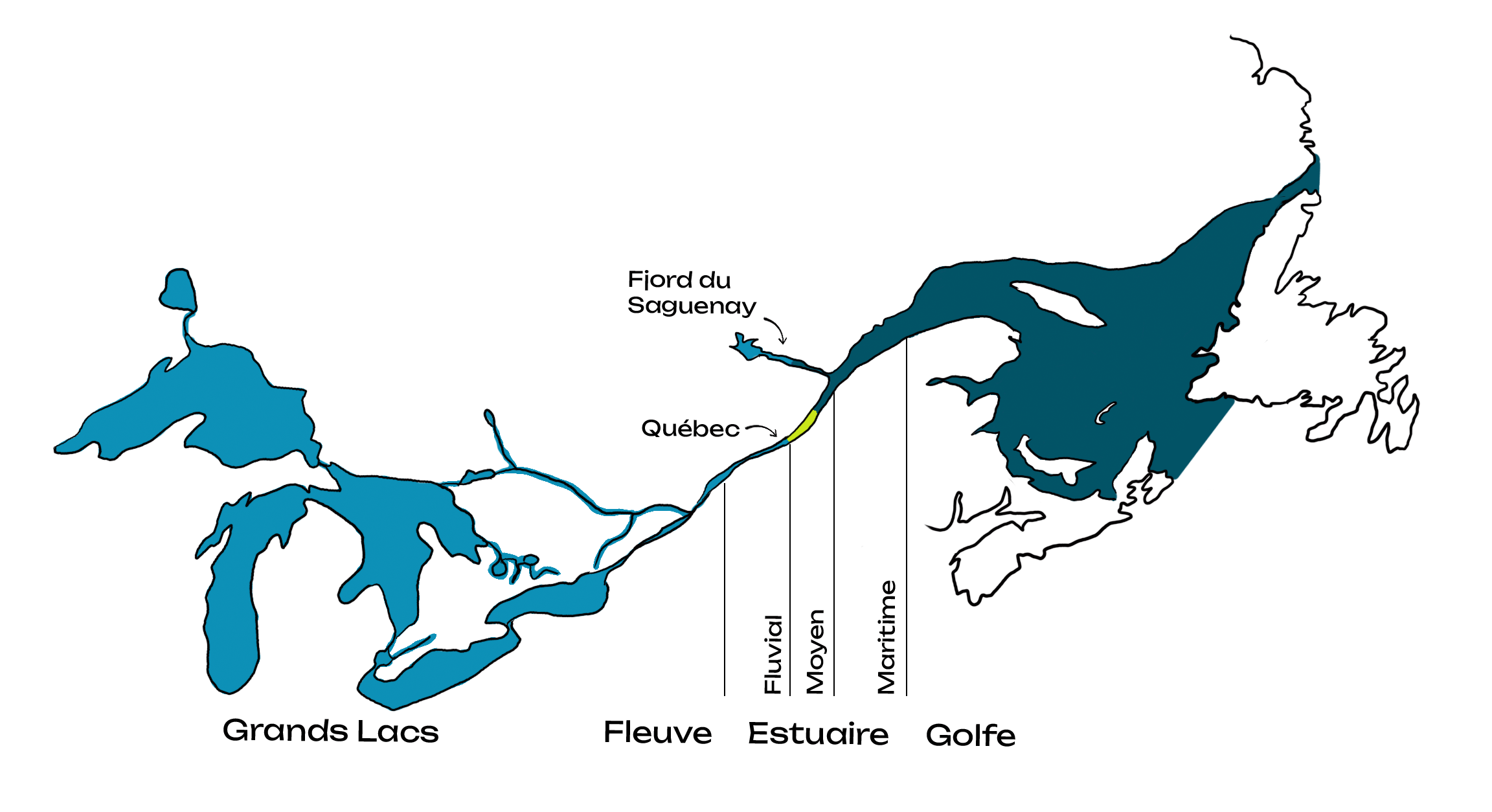 Illustration couleur du Saint-Laurent en vue aérienne, depuis les Grands Lacs jusqu'au golfe du Saint-Laurent. Indication de la partie fleuve, estuaire fluvial, moyen et maritime et du golfe.