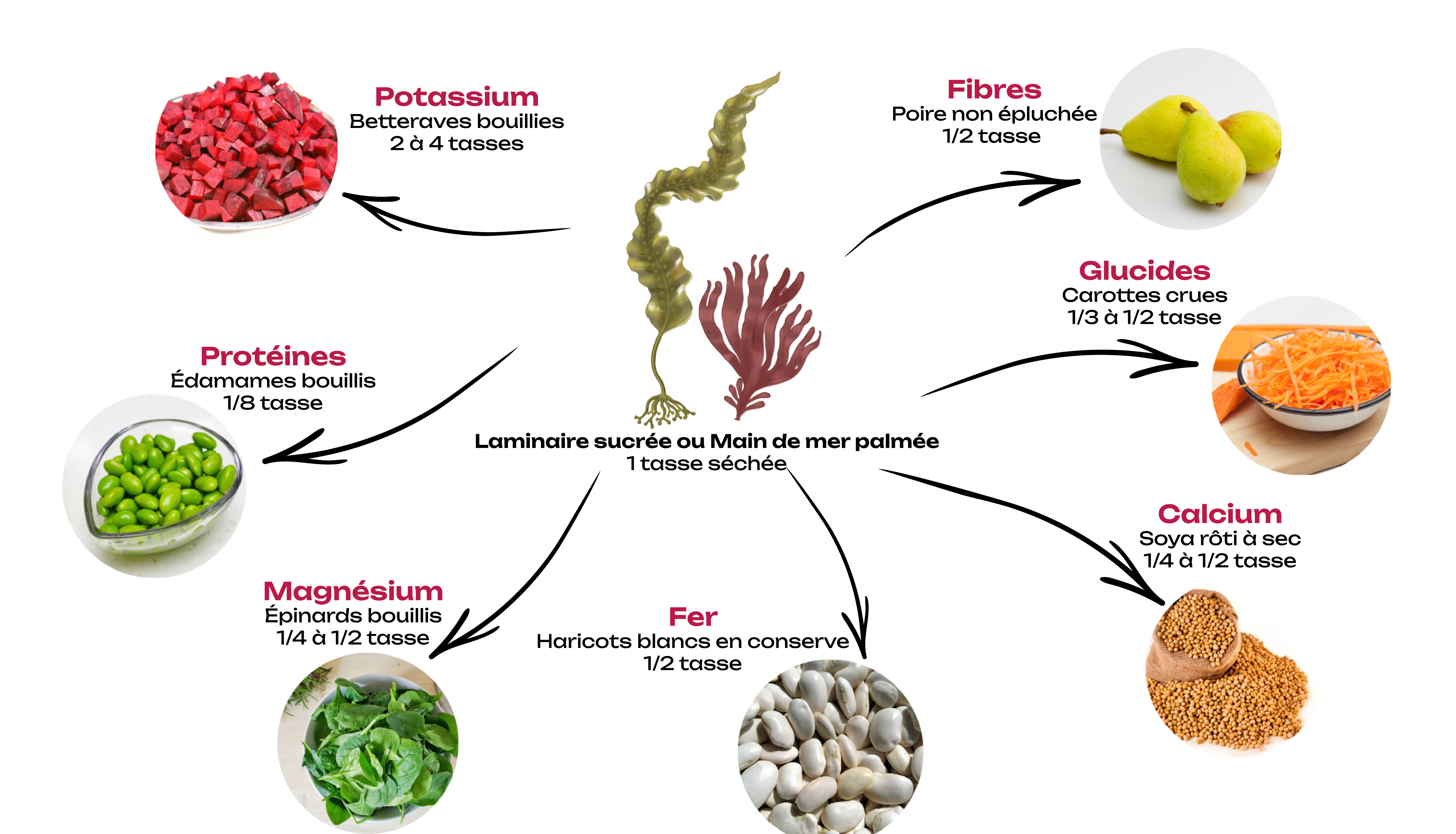 Schéma représentant des équivalences de nutriments entre les algues et d'autres aliments. Pour une description détaillée, accède au texte alternatif détaillé en dessous de cette image.