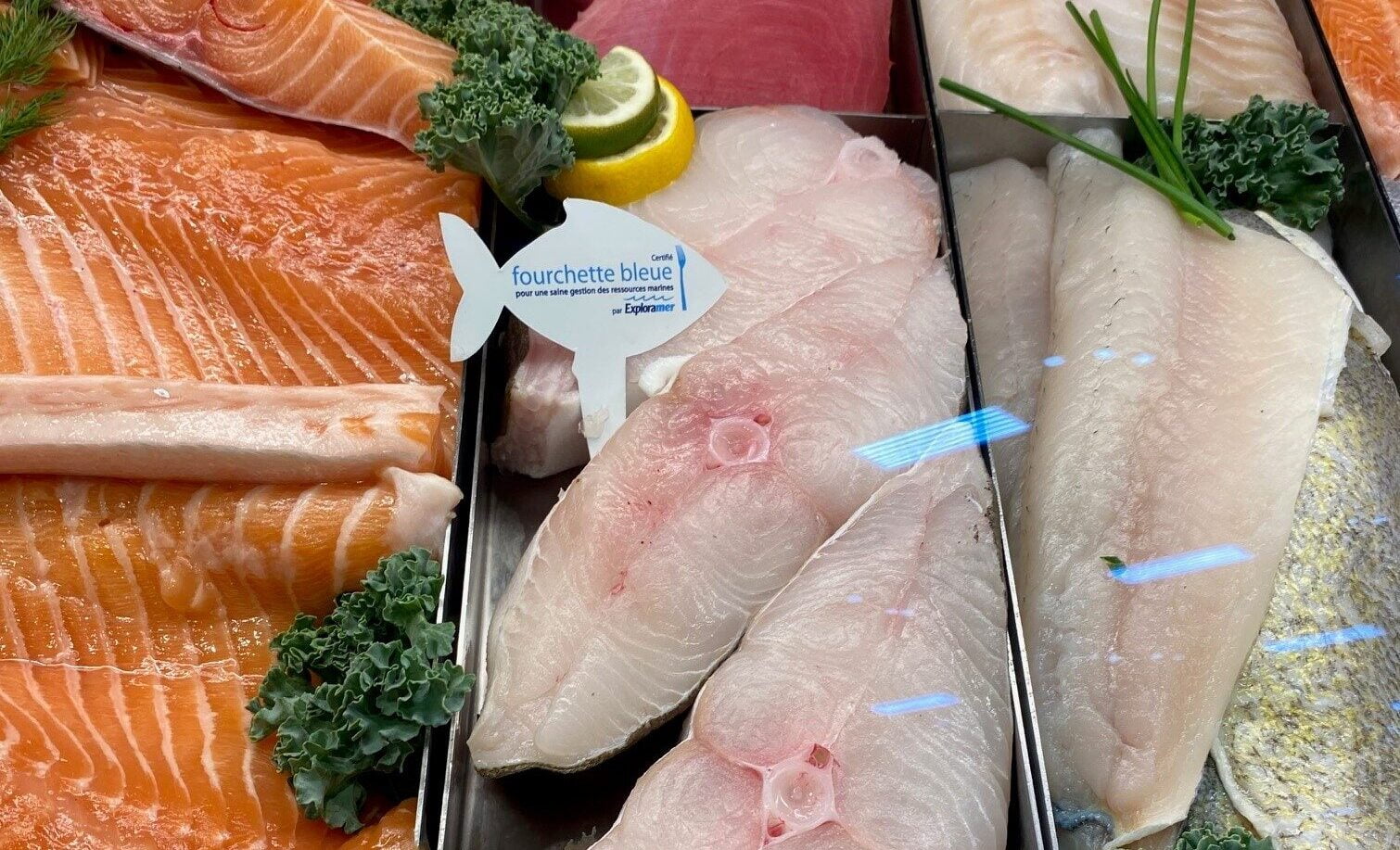 Photographie d'un étale avec des filets et darnes de poissons au milieu duquel se trouve un picot "Fourchette bleue".